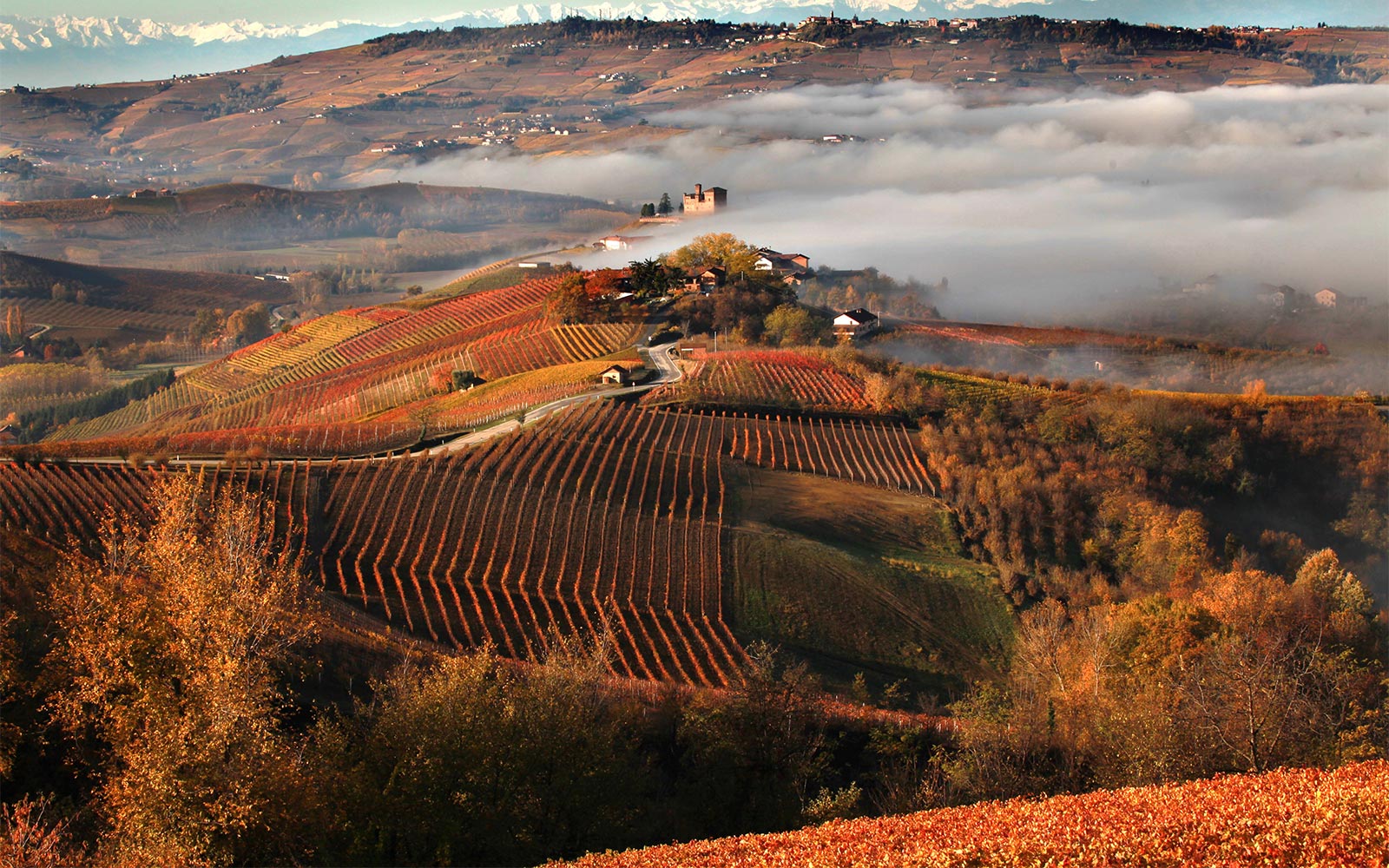 Langhe Unesco